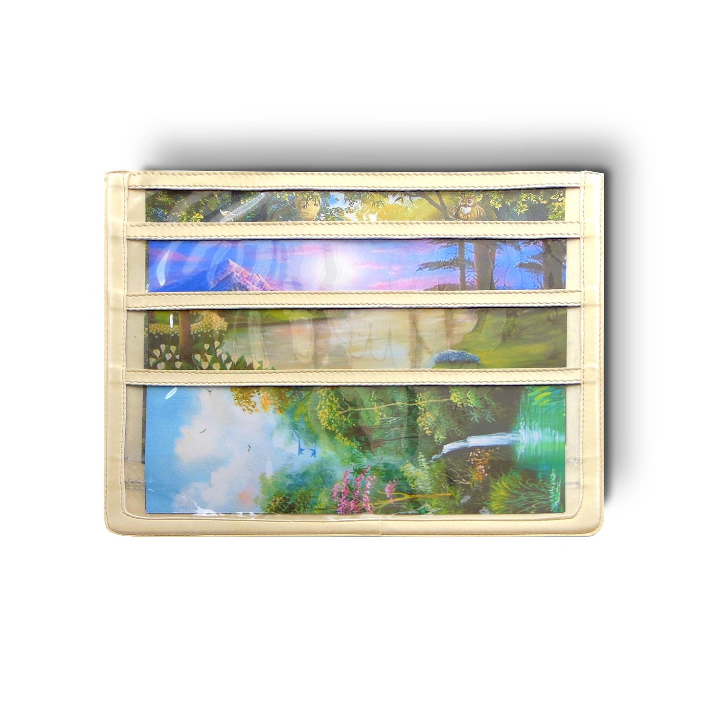 Carpeta organizador Literatura, Revistas, Tratados, Documentos - Transparente - Carpeta Para predicar