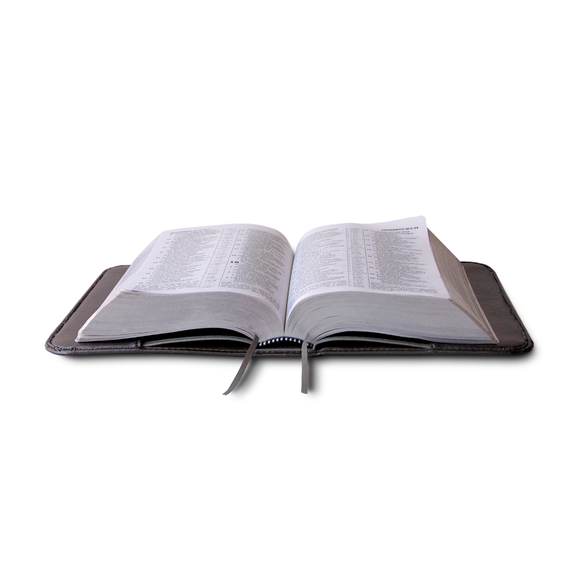 Funda para BIBLIA - PERSONALIZABLE